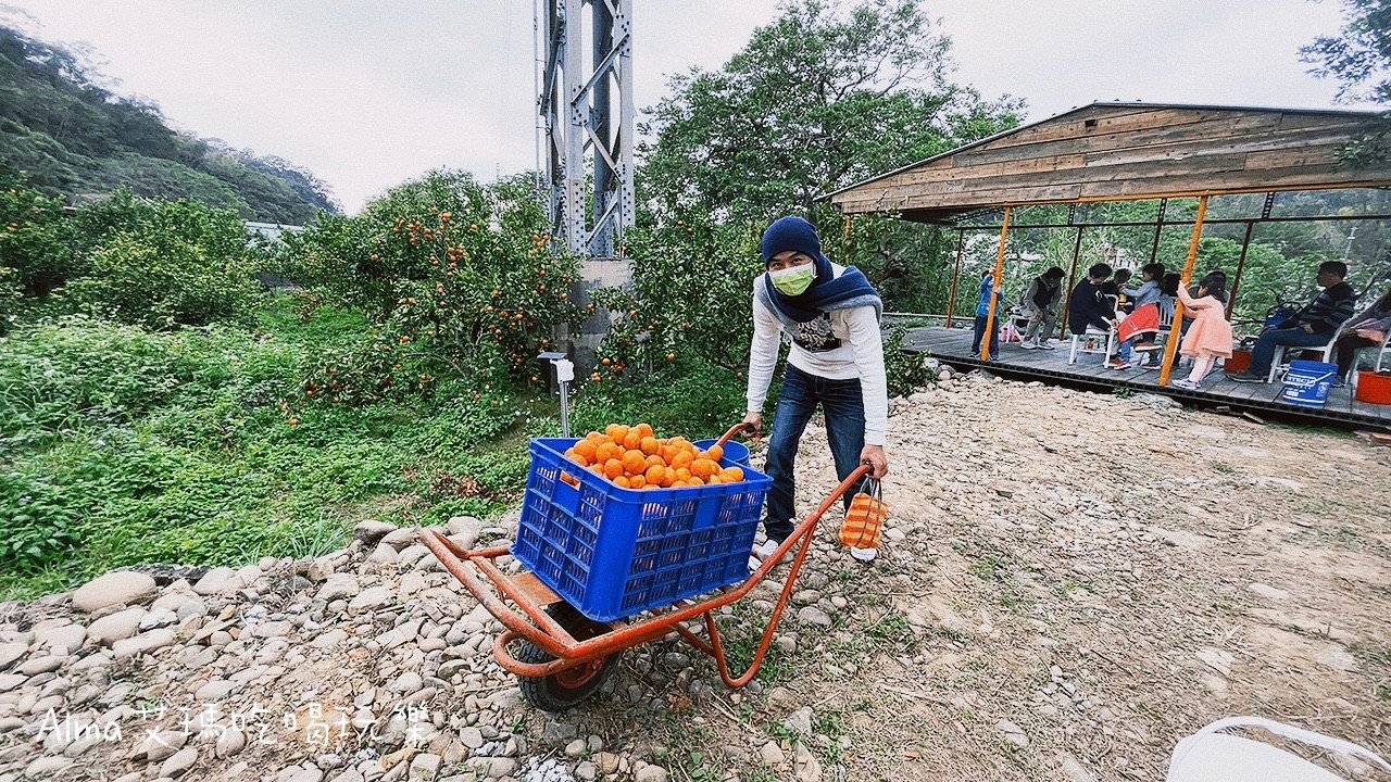 DIY採(cǎi)果,三和青創(chuàng)基地,多肉植物,新景點(diǎn),桃園好玩,桃園美食,親子DIY,釣魚,龍?zhí)毒包c(diǎn)