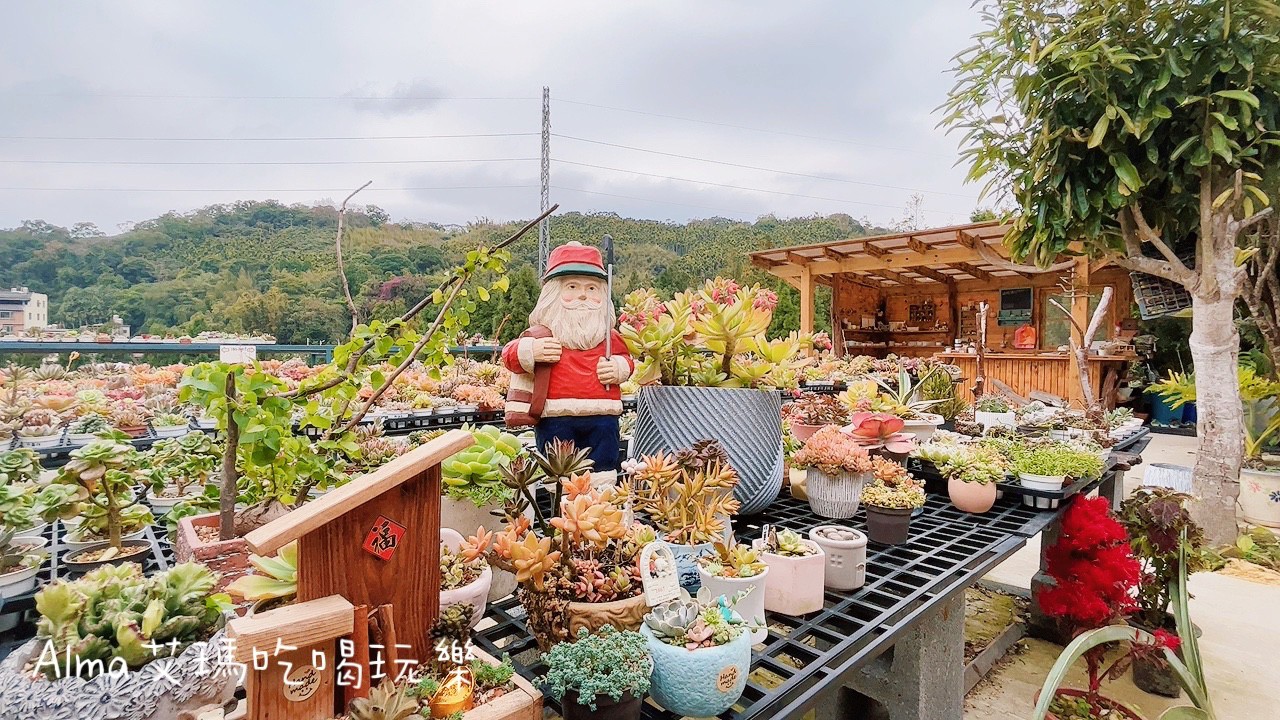 DIY採果,三和青創基地,多肉植物,新景點,桃園好玩,桃園美食,親子DIY,釣魚,龍潭景點