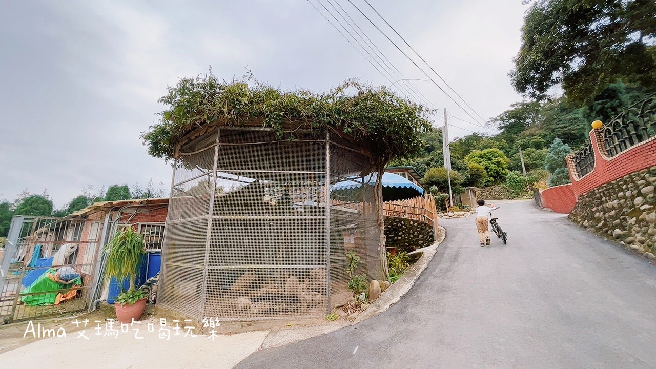 〖三和青創基地〗老屋廢棄雞舍改建文青基地．玩一下午不是問題，多肉植物DIY.親子餐廳.錦鯉園.釣魚樂.採砂糖橘