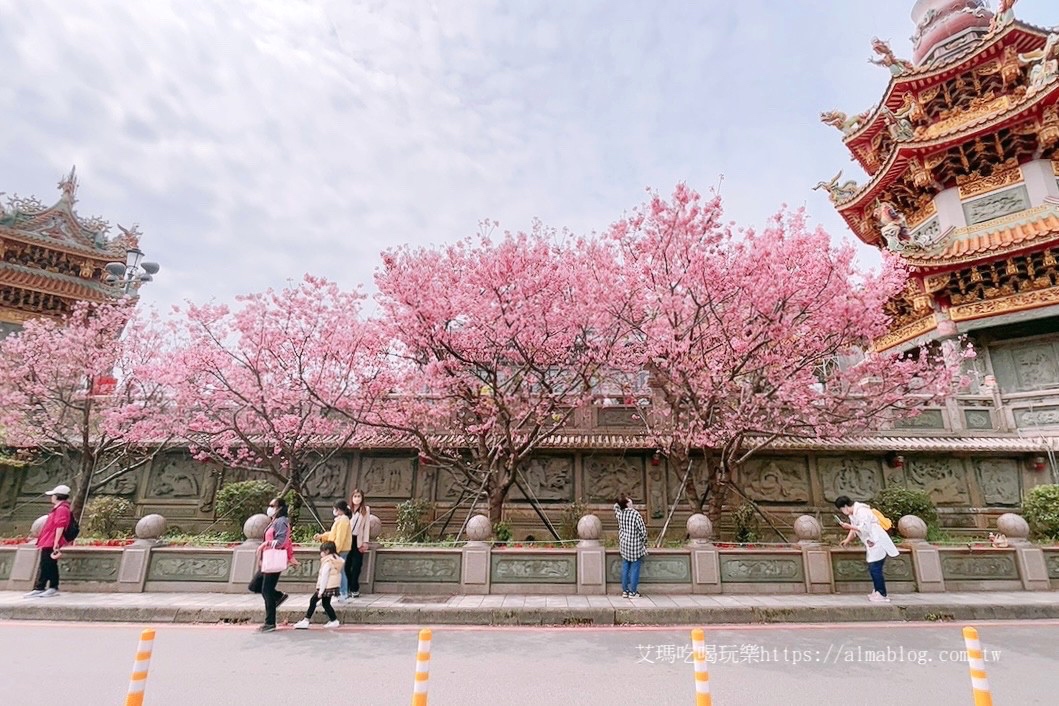 免費(fèi)景點(diǎn),林口景點(diǎn),櫻花,竹林寺,竹林山觀音寺,賞櫻花