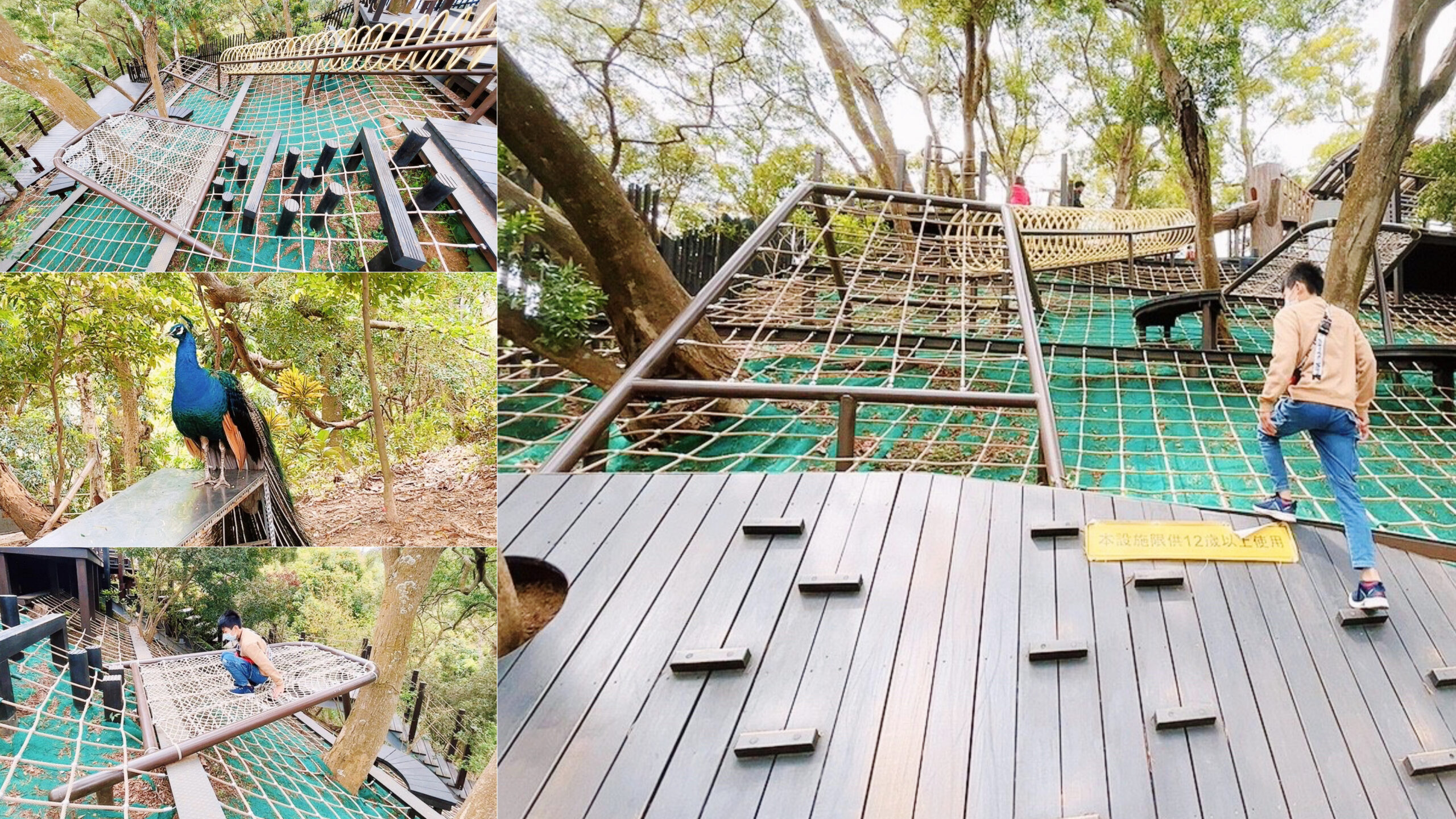 臺中公園,風動石公園,風動石森林體驗空間 @艾瑪  吃喝玩樂札記