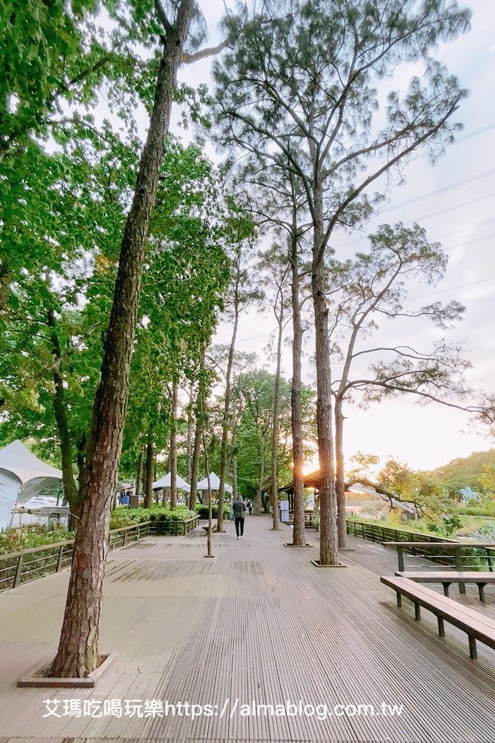 夜遊慈湖,大溪景點(diǎn),慈湖,慈湖紀(jì)念雕塑公園