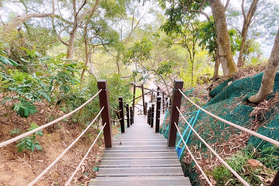 臺中公園,風動石公園,風動石森林體驗空間