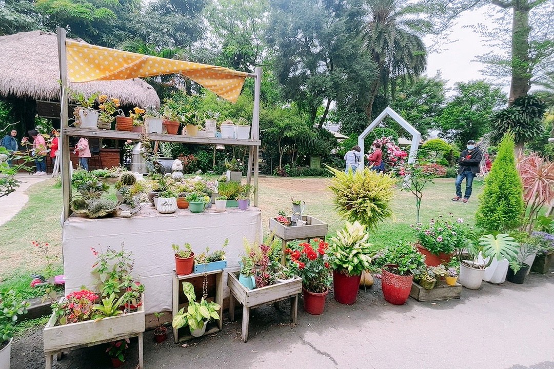 免費入館,博物館,桃園景點,楊梅景點,雅聞魅力博覽館