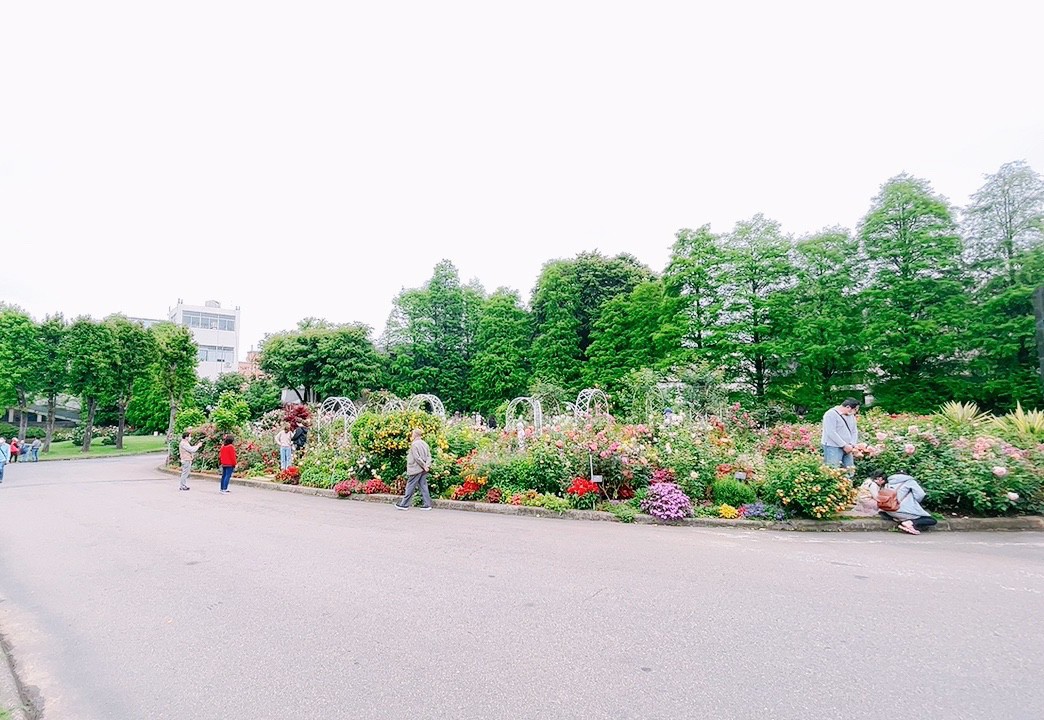 免費入館,博物館,桃園景點,楊梅景點,雅聞魅力博覽館