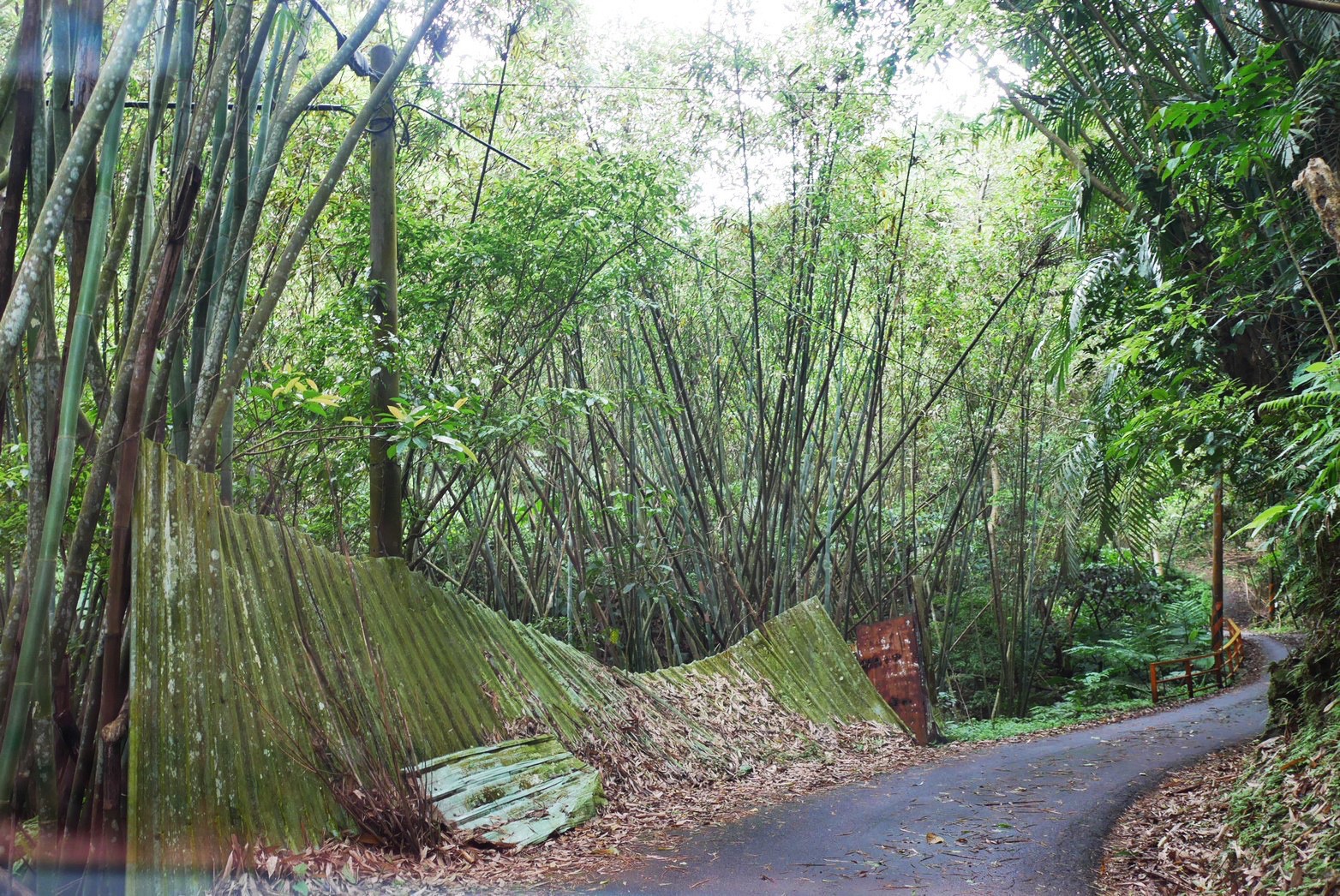 大溪景點,阮家莊土雞城