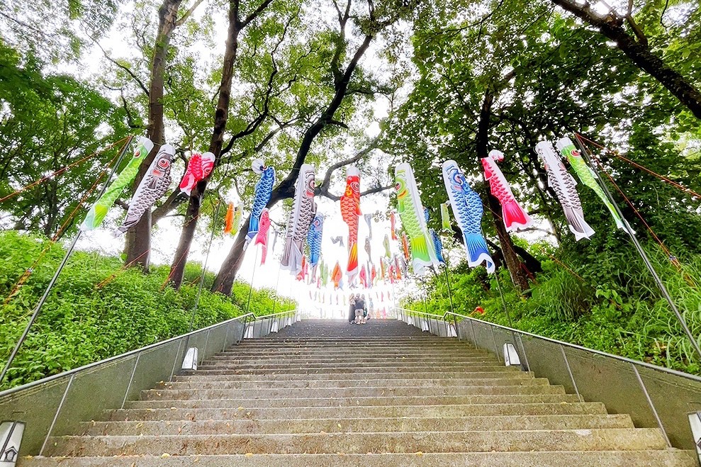 免費景點,桃園忠烈祠暨神社,鯉魚流光祭