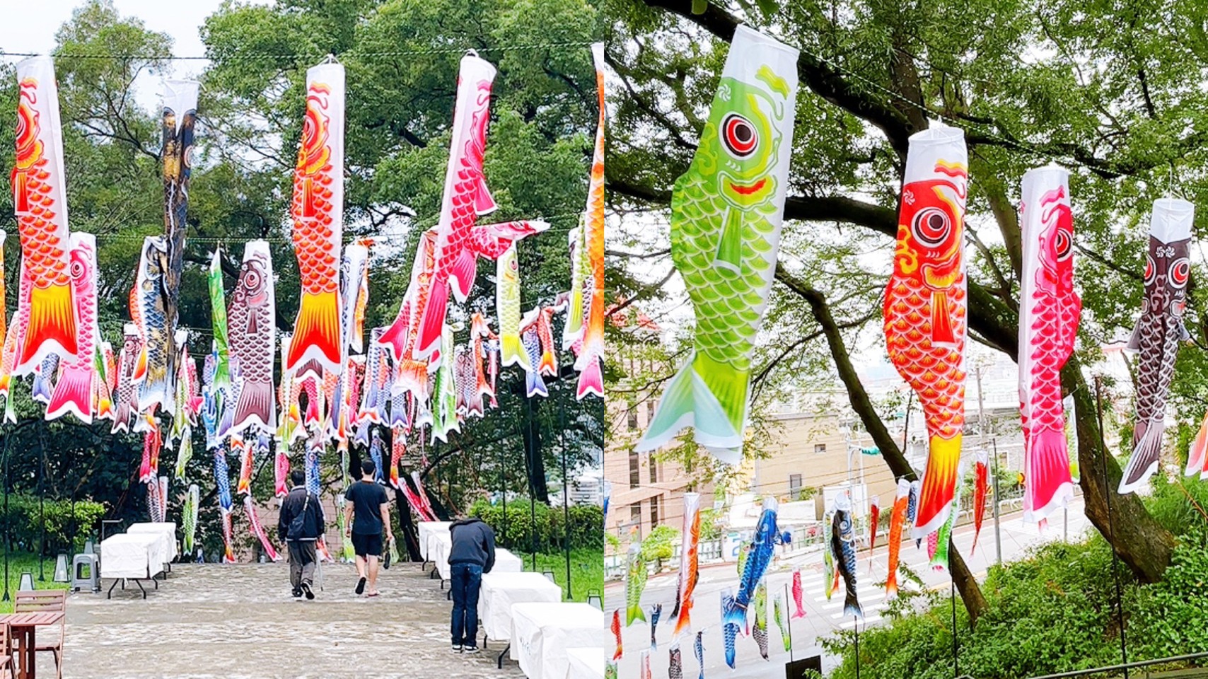 免費景點,桃園忠烈祠暨神社,鯉魚流光祭