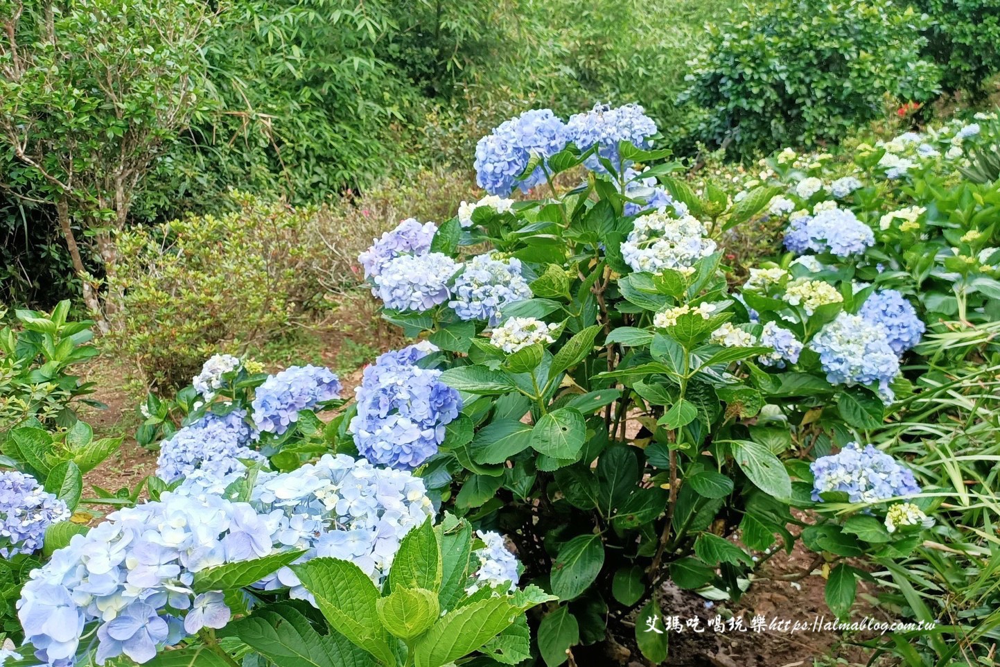 臺北景點,硬漢嶺