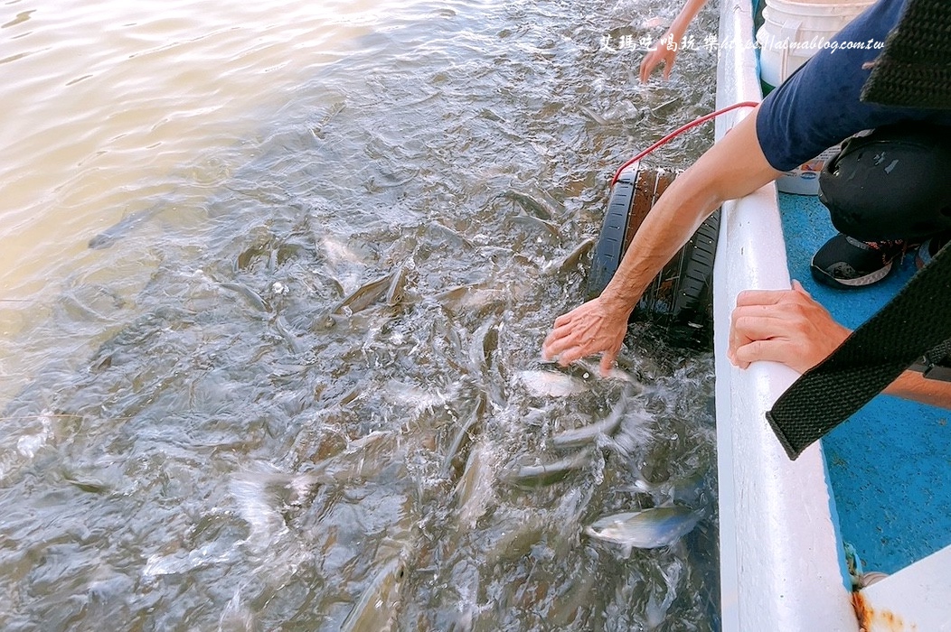 宜蘭景點(diǎn),輕親魚(yú)朵生態(tài)園區(qū),釣蝦,釣魚(yú),鹽焗臺(tái)灣鯛