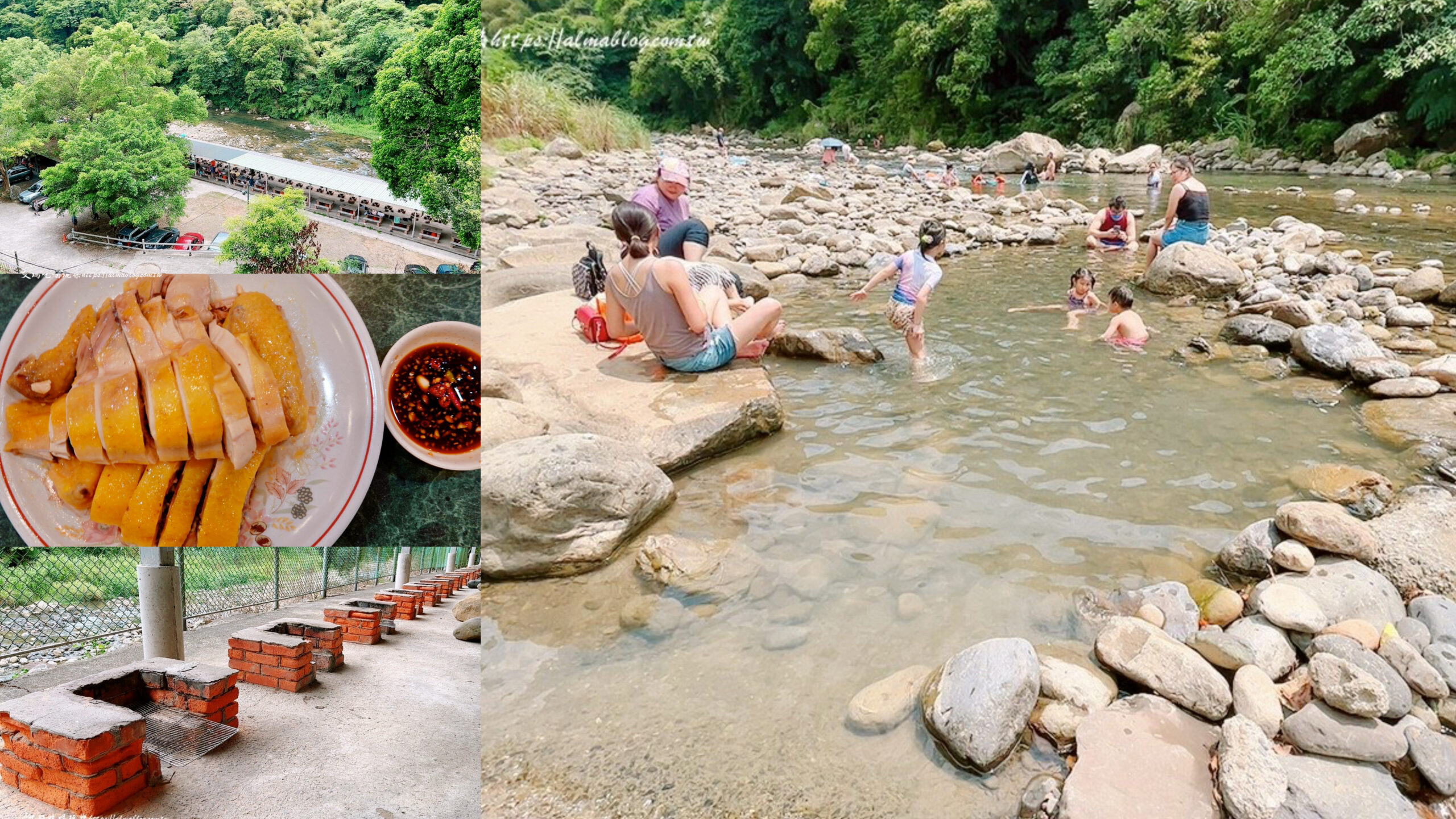 三峽土雞,土雞,大豹溪,新北美食,樂源仙境土雞城,溪水,熱炒,玩溪水,白斬雞,高麗菜