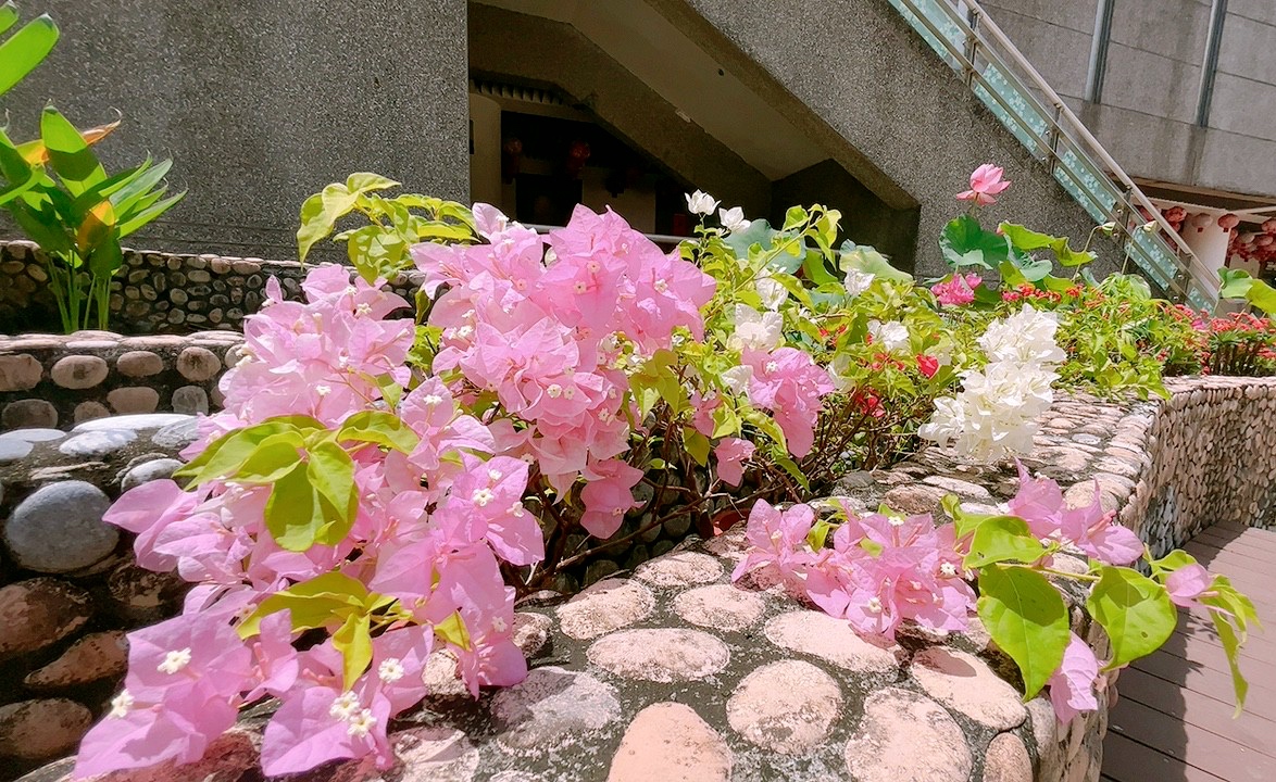 三峽景點,臺北景點,客家館,新北市客家文化園區(qū),雨天備案