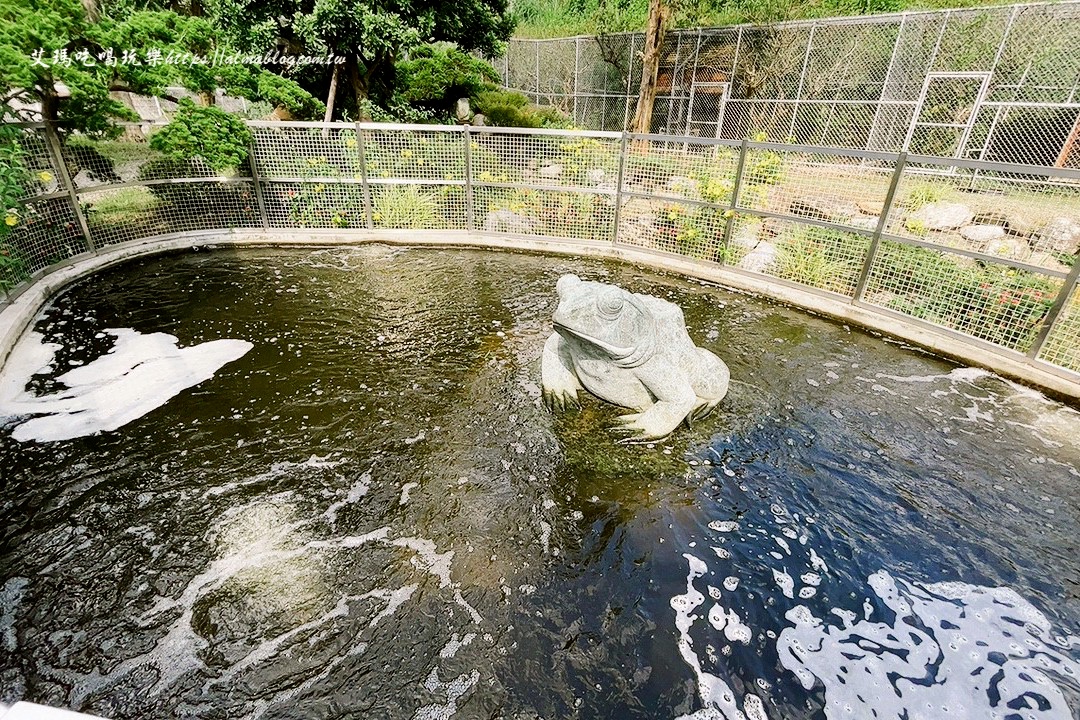 免費入園,大溪景點,披薩,桃園景點,蘇家莊園,蘇家莊園Su's Garden