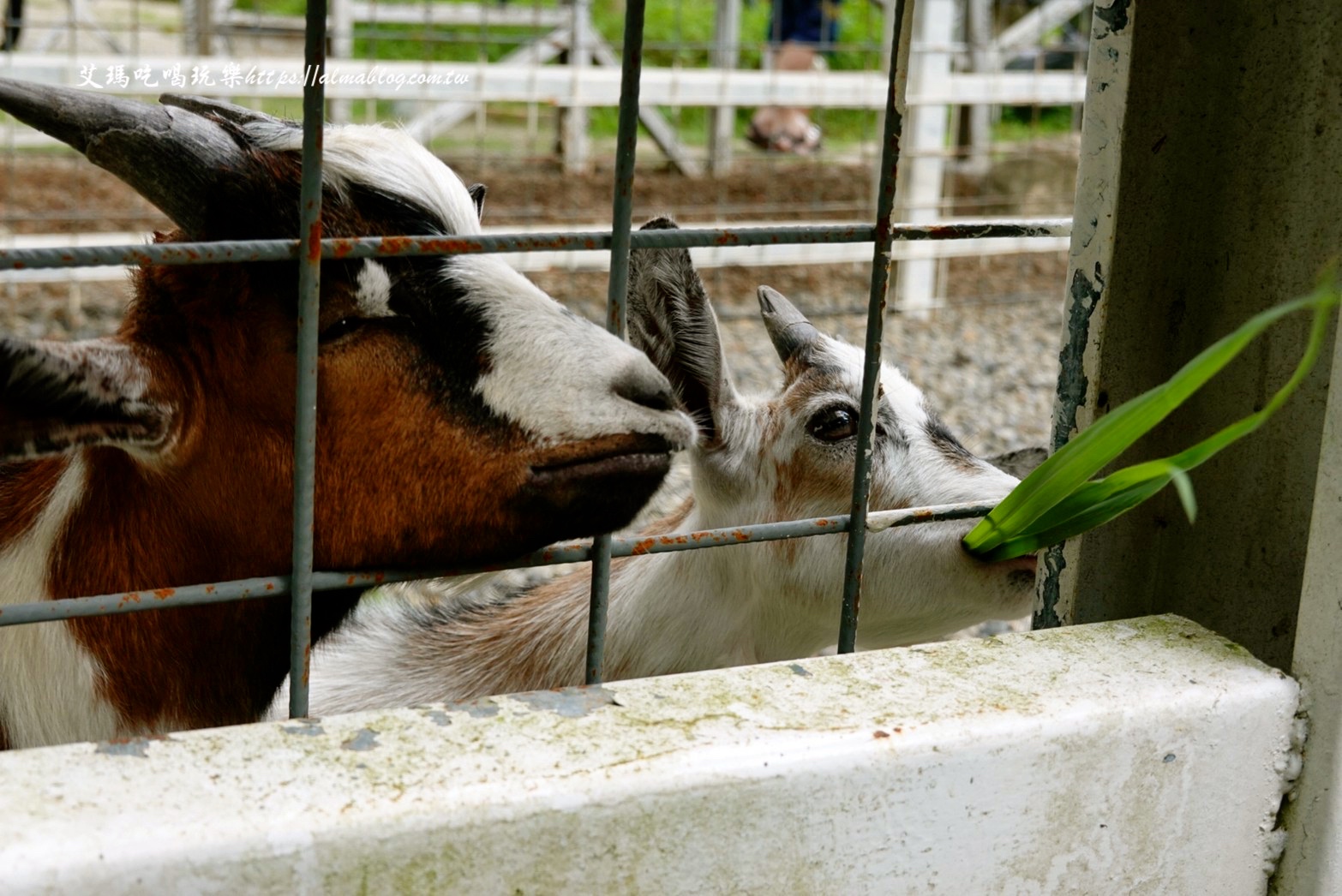 蘇家莊園