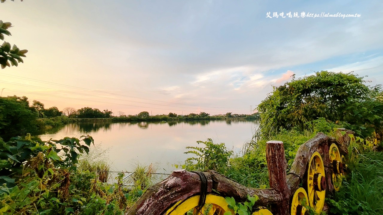 臺(tái)灣番鴨牧場(chǎng)