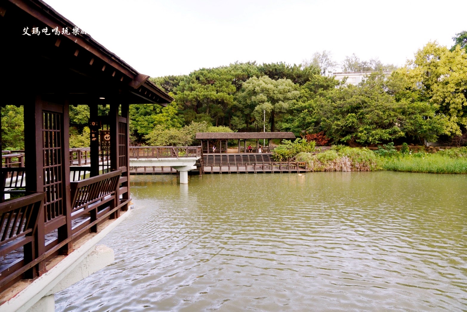 免費景點,公園,定食,新竹公園,日料,立體拉花,老宅,餵食,鯖魚定食,麗池生活美學館,麗池畔