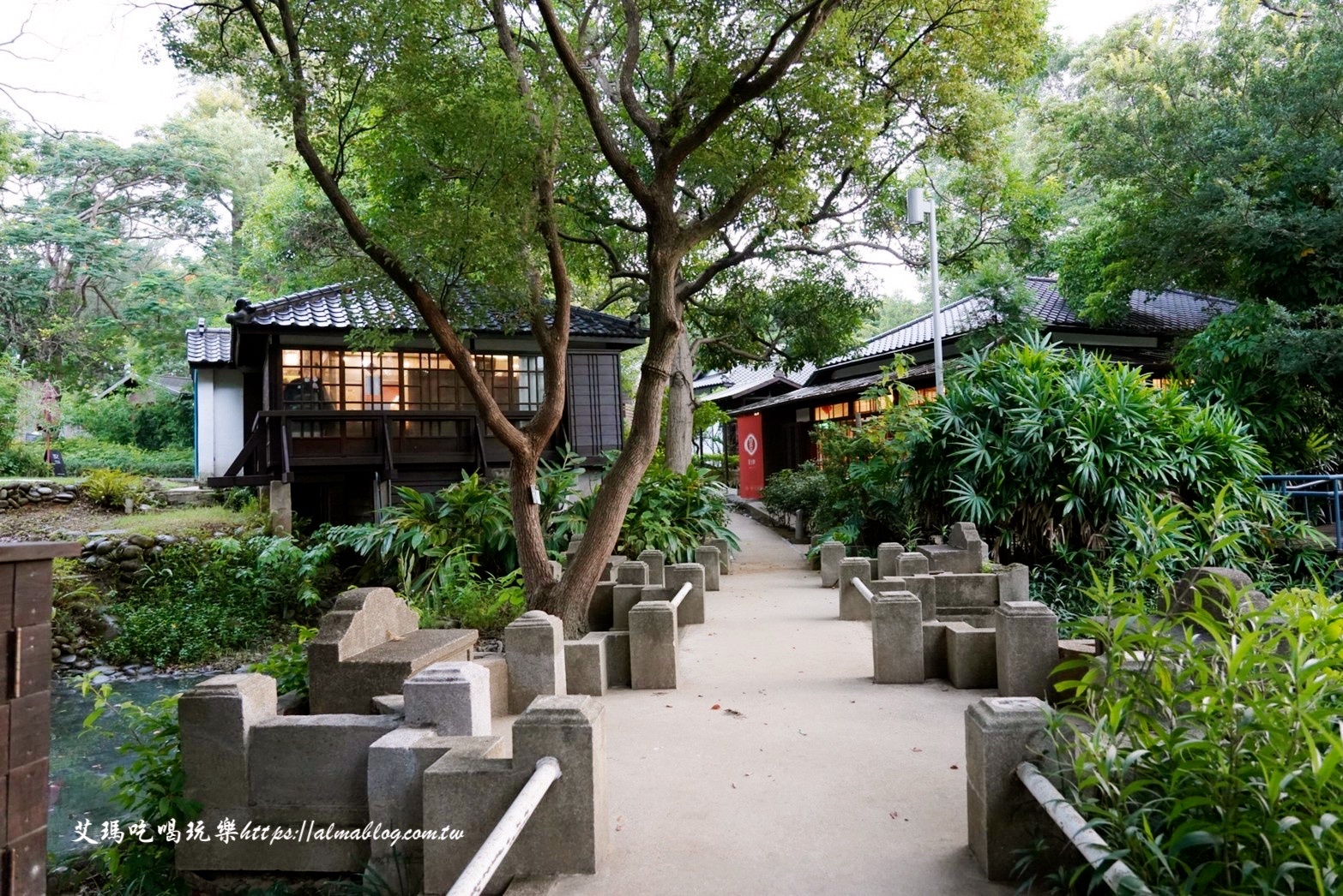 免費景點,公園,定食,新竹公園,日料,立體拉花,老宅,餵食,鯖魚定食,麗池生活美學館,麗池畔