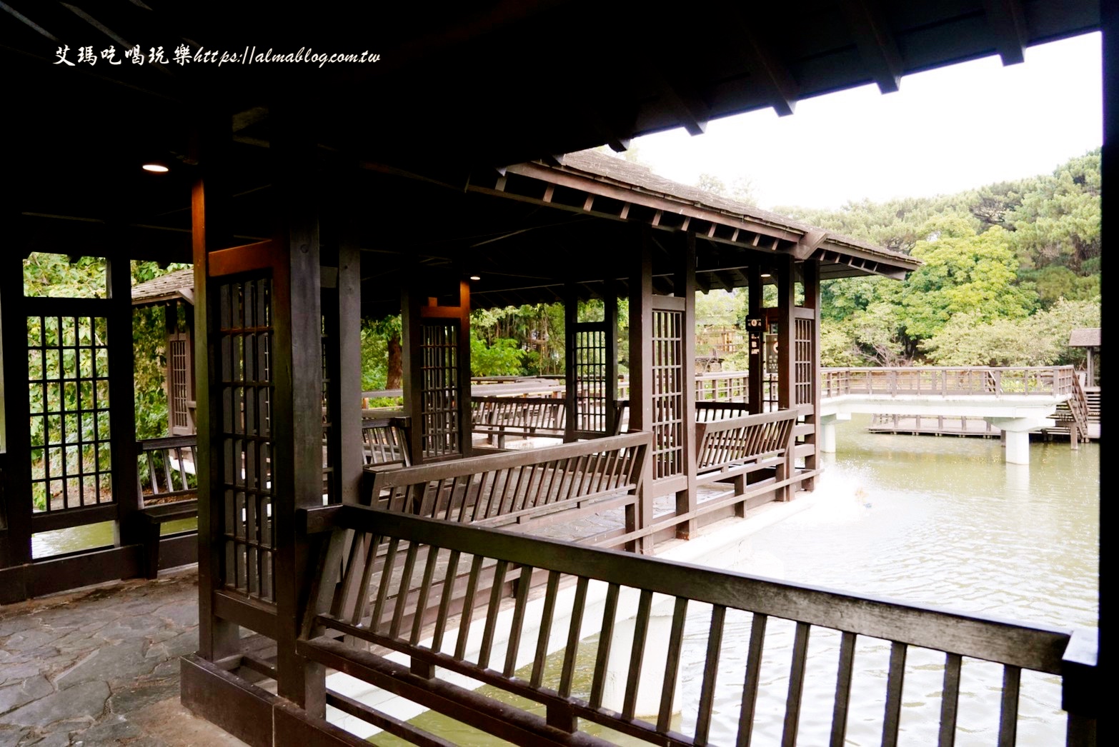 免費景點,公園,定食,新竹公園,日料,立體拉花,老宅,餵食,鯖魚定食,麗池生活美學館,麗池畔