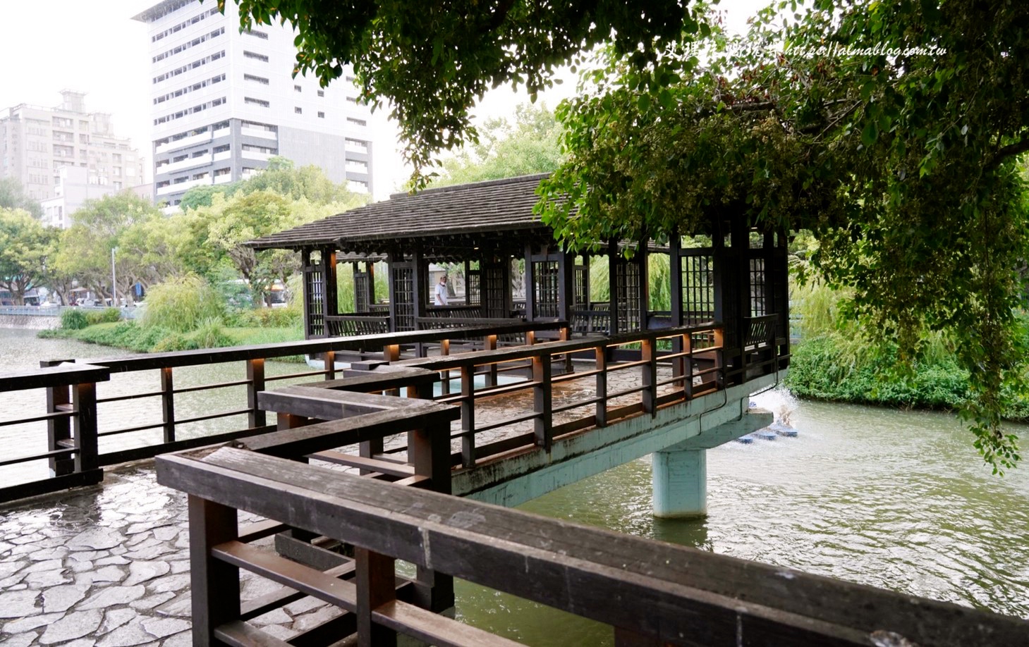 免費景點,公園,定食,新竹公園,日料,立體拉花,老宅,餵食,鯖魚定食,麗池生活美學館,麗池畔