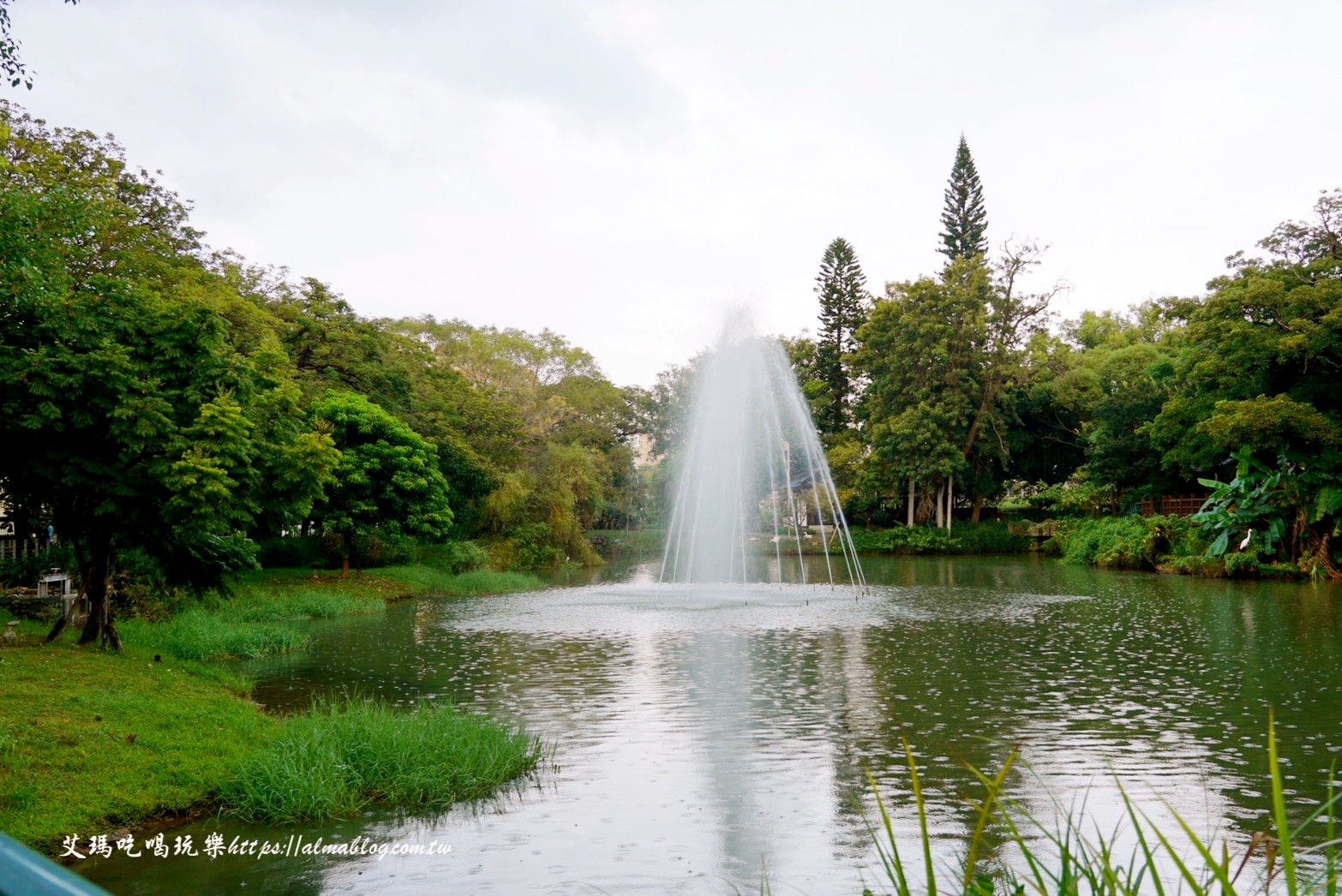 免費景點,公園,定食,新竹公園,日料,立體拉花,老宅,餵食,鯖魚定食,麗池生活美學館,麗池畔