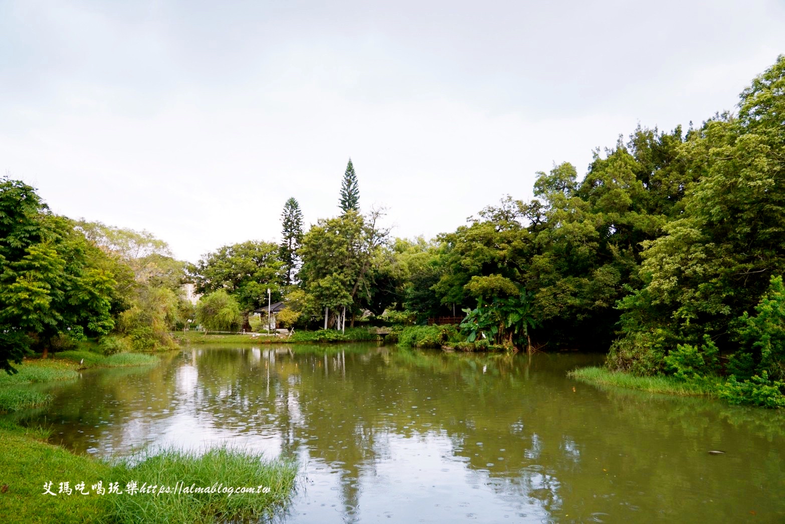 免費景點,公園,定食,新竹公園,日料,立體拉花,老宅,餵食,鯖魚定食,麗池生活美學館,麗池畔