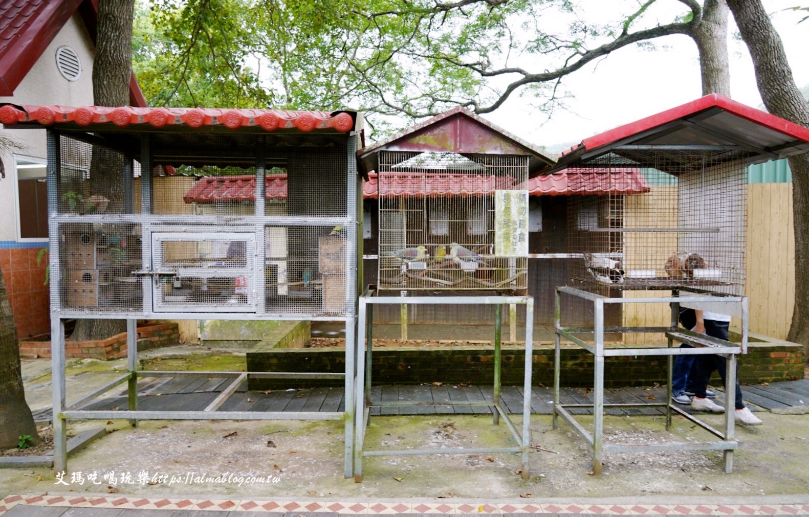 苗栗景點,親子景點,日新島,咖啡館,苗栗美食