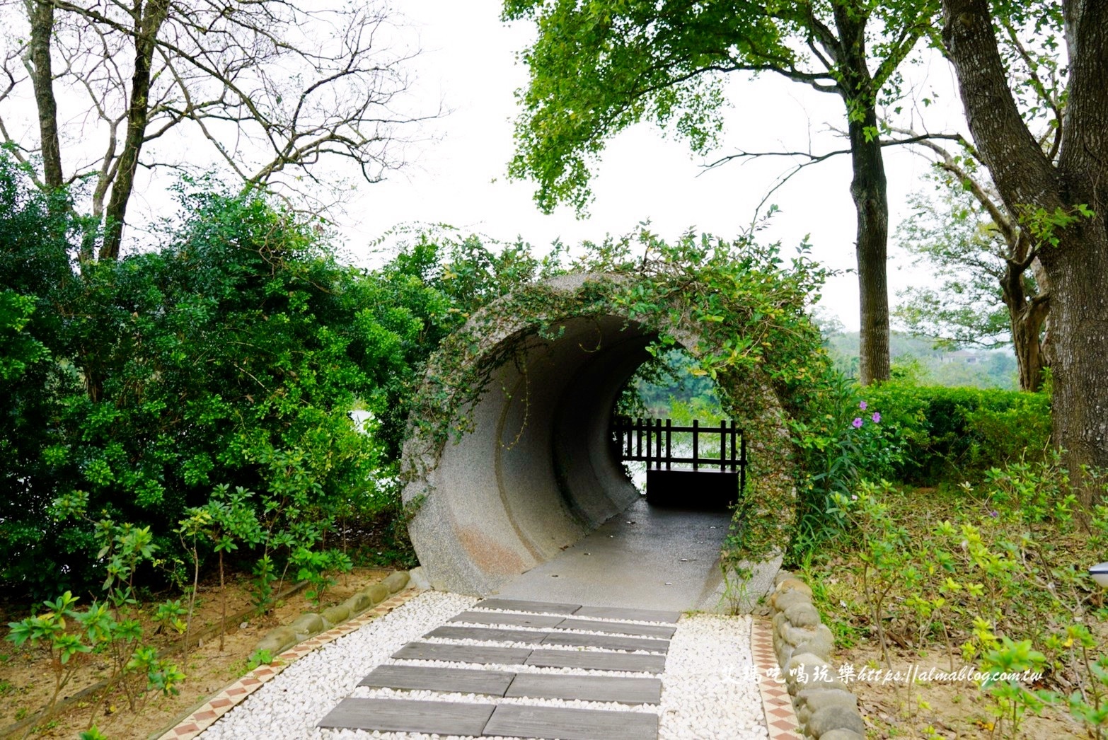 苗栗景點,親子景點,日新島,咖啡館,苗栗美食