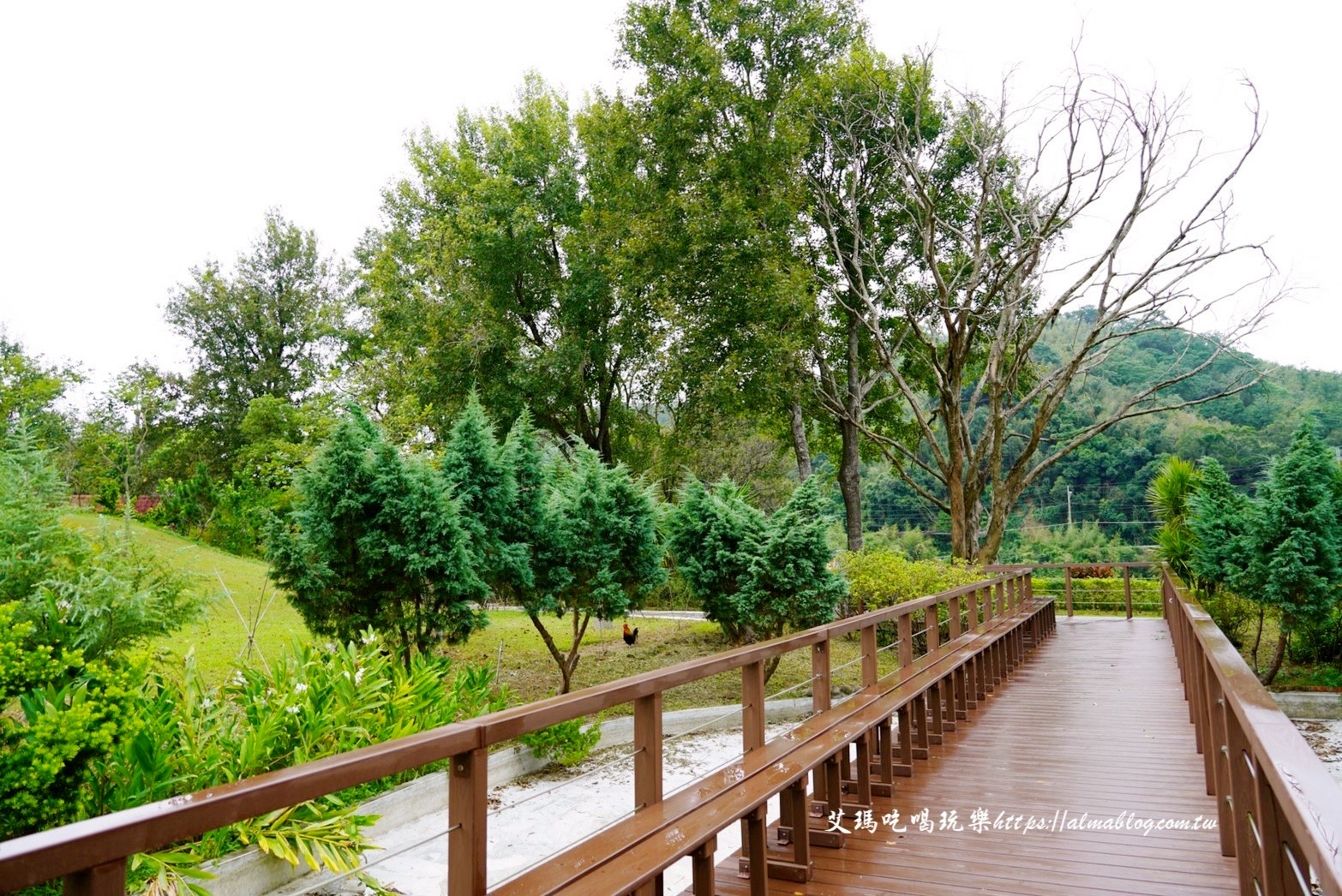 咖啡館,日新島,苗栗景點,苗栗美食,親子景點