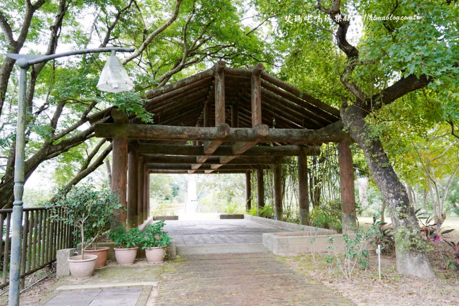 苗栗景點,親子景點,日新島,咖啡館,苗栗美食