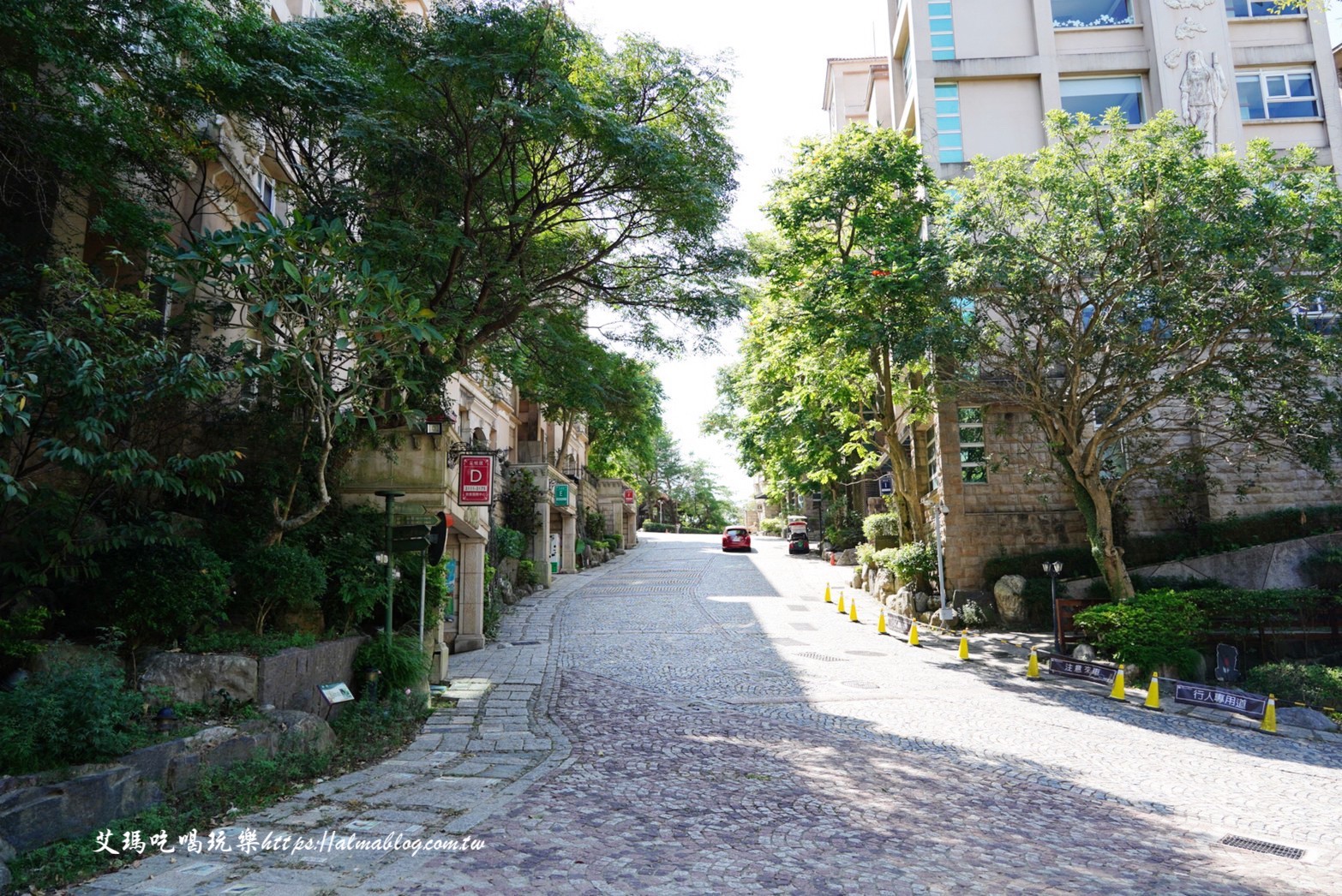 桃園咖啡館,桃園美食,楊梅景點,貓森咖啡nekomoricafe,貓咪餐廳,貓森,麗多森林溫泉酒店