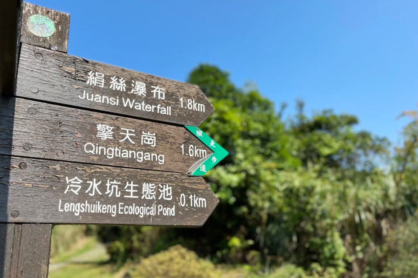 臺北景點,陽明山,免費景點,冷水坑,牛奶湖,登山,菁山吊橋