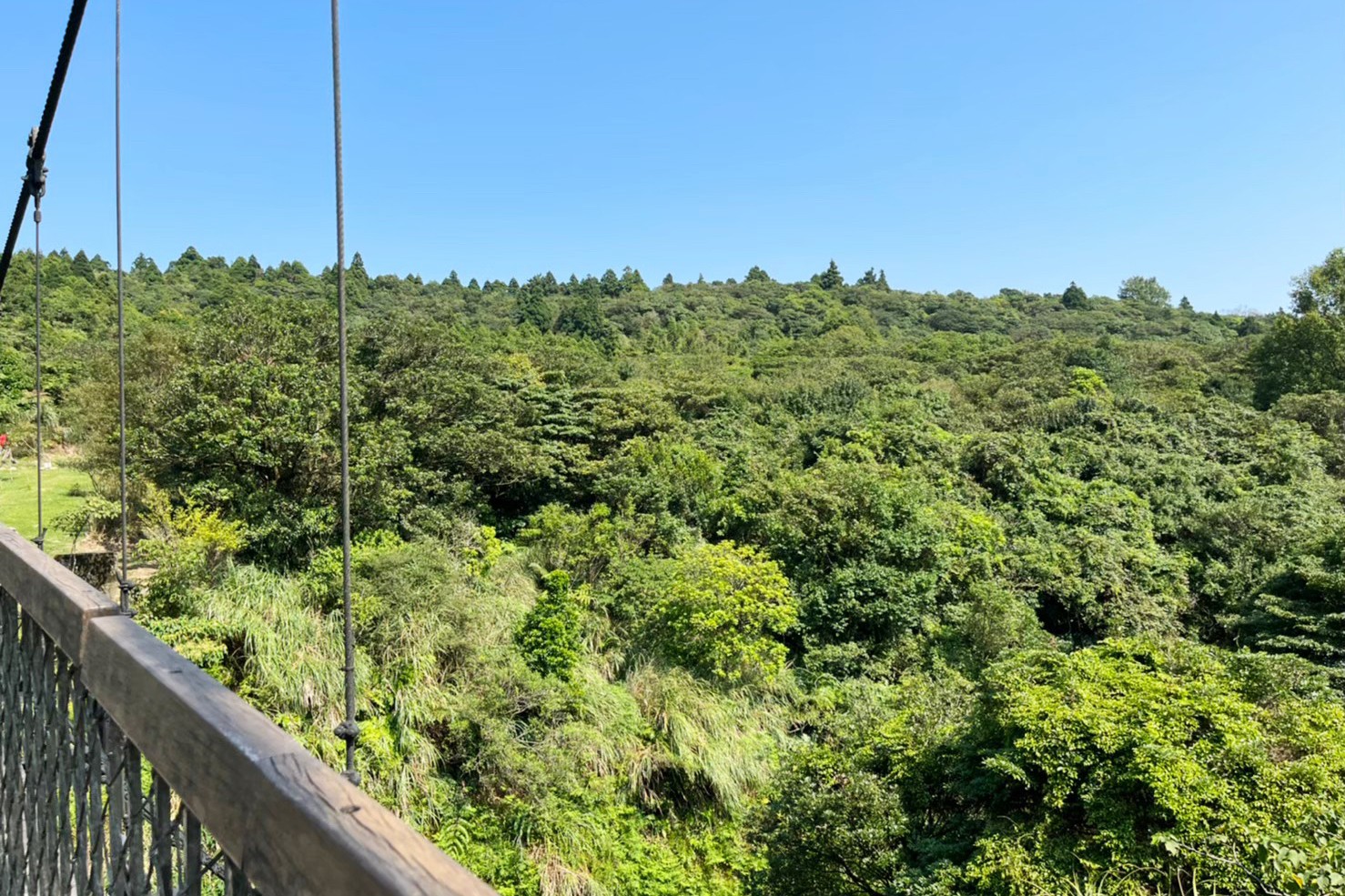 臺北景點,陽明山,免費景點,冷水坑,牛奶湖,登山,菁山吊橋