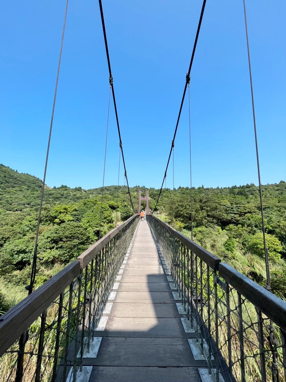 臺北景點,陽明山,免費景點,冷水坑,牛奶湖,登山,菁山吊橋