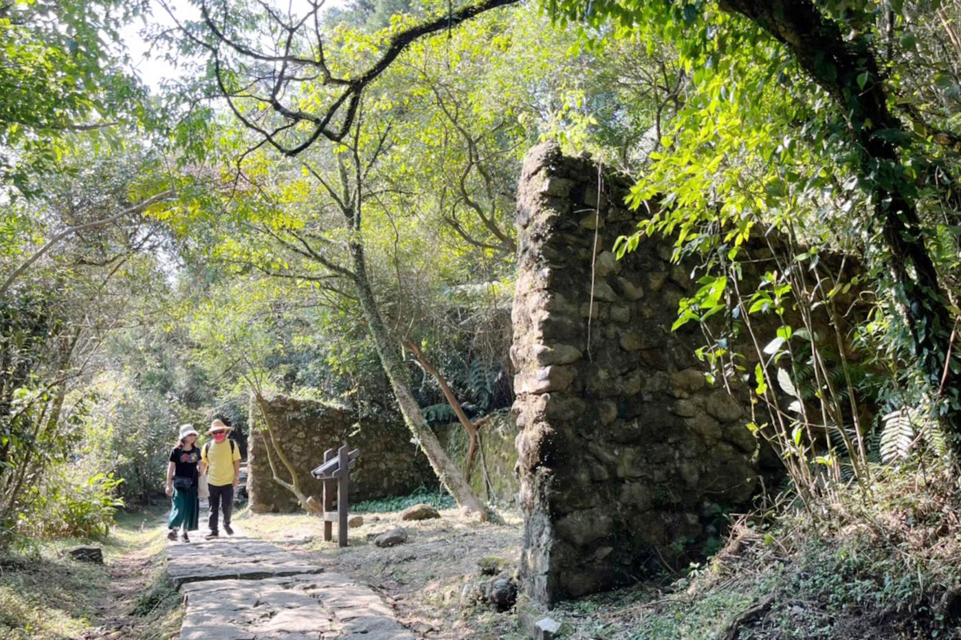 臺北景點,陽明山,免費景點,冷水坑,牛奶湖,登山,菁山吊橋