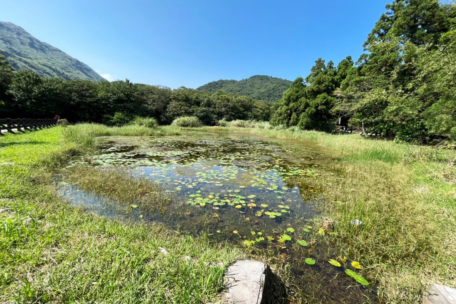 臺北景點,陽明山,免費景點,冷水坑,牛奶湖,登山,菁山吊橋