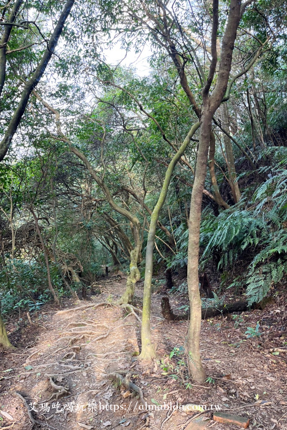 下七股野溪溫泉