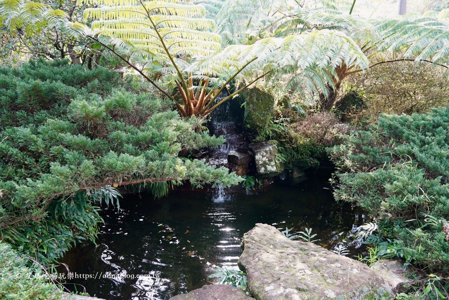 華之友自然景觀農園