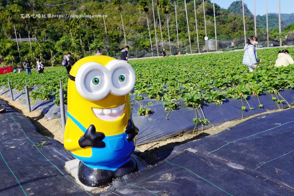 太湖觀光草莓園