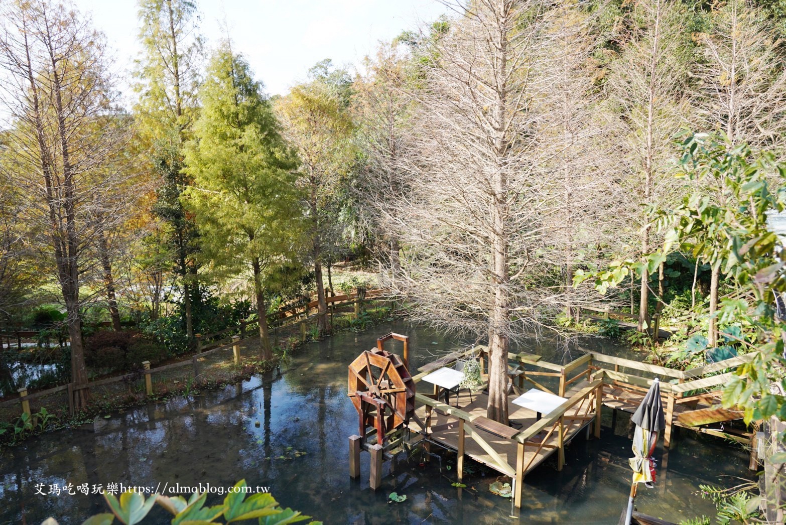 小木屋竹圃茶園