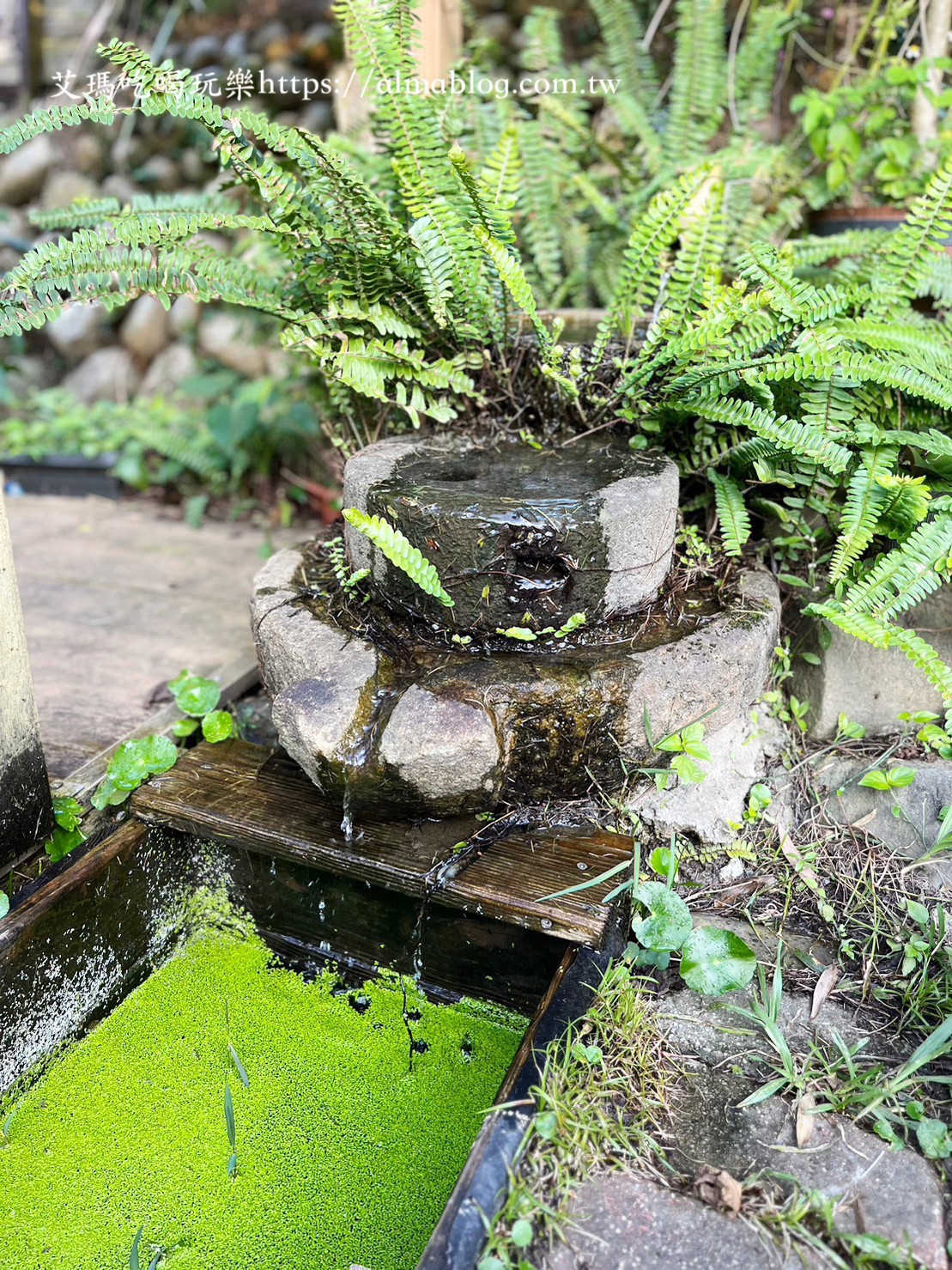 小木屋竹圃茶園