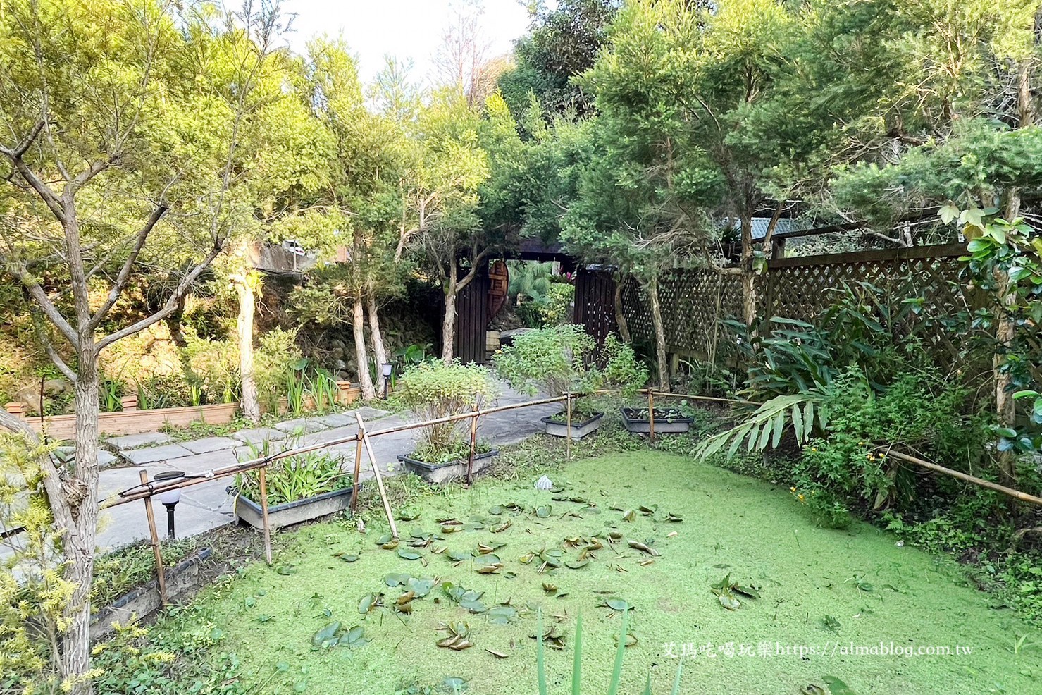 小木屋竹圃茶園