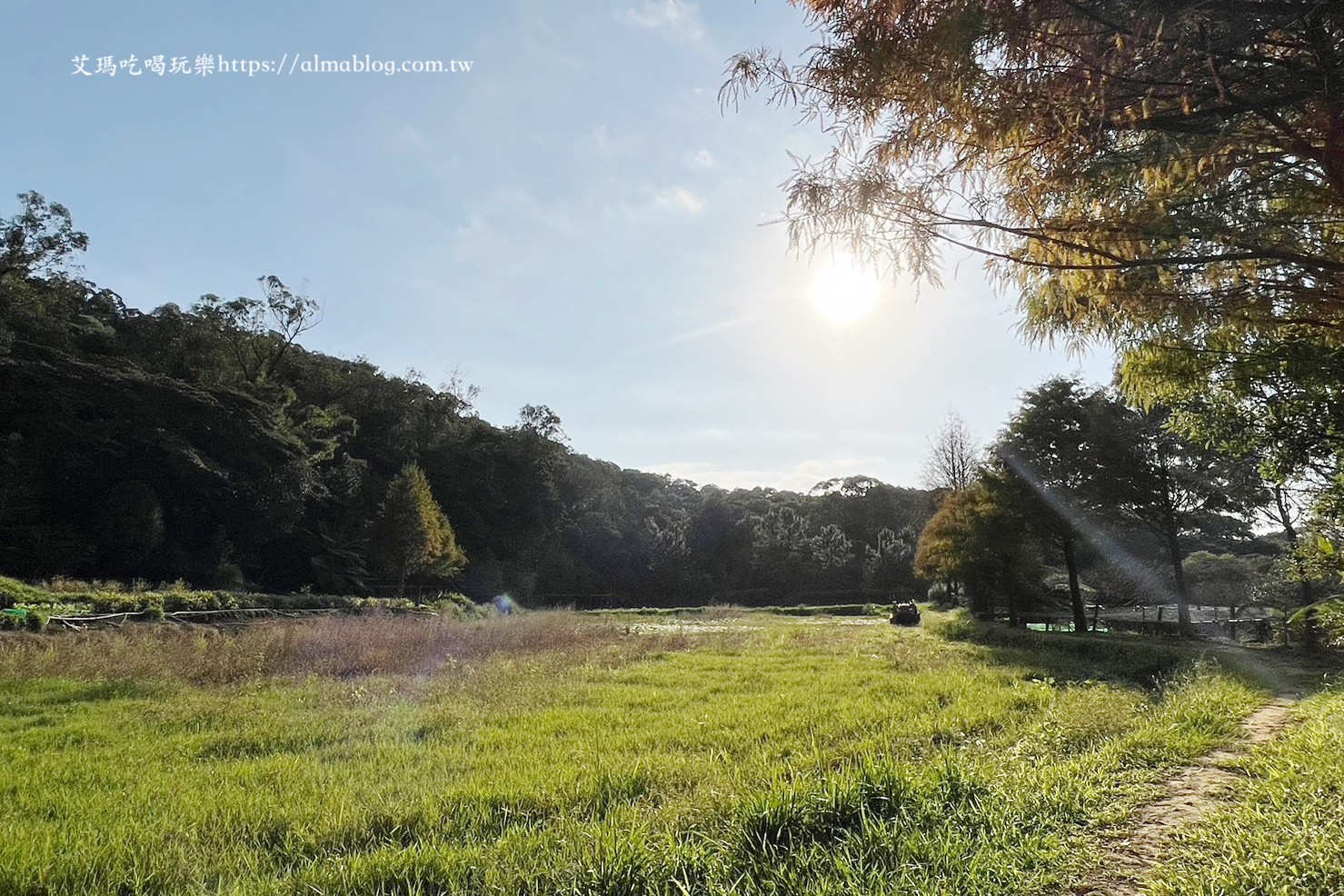 小木屋竹圃茶園