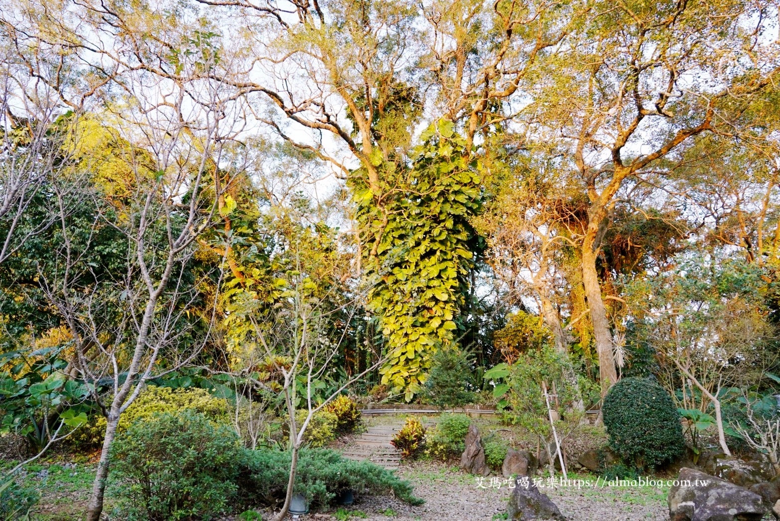 新北美食,林口美食,1227山屋,295山頂,咖啡館,泡茶,窯烤披薩,窯烤麵包,竹林山茶行