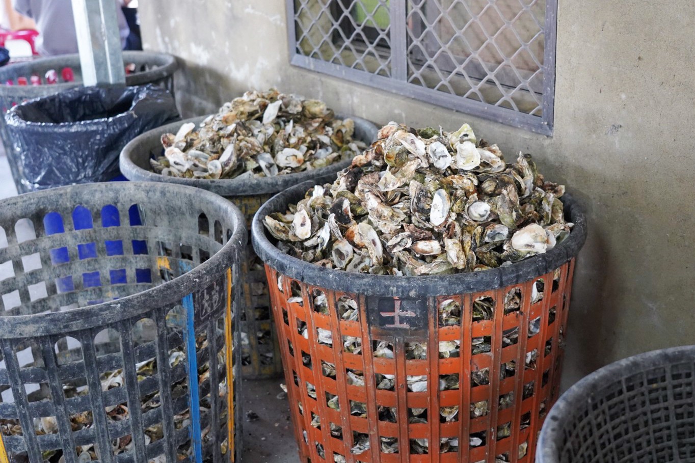 牛港魚池