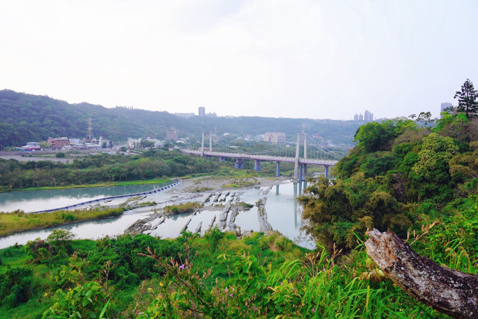 3D彩繪牆,住宿,大溪住宿,大溪咖啡館,大溪美食,大溪老城四季行館,大溪老街,桃園住宿,環保旅店,秘境41,隱花園景觀咖啡餐廳