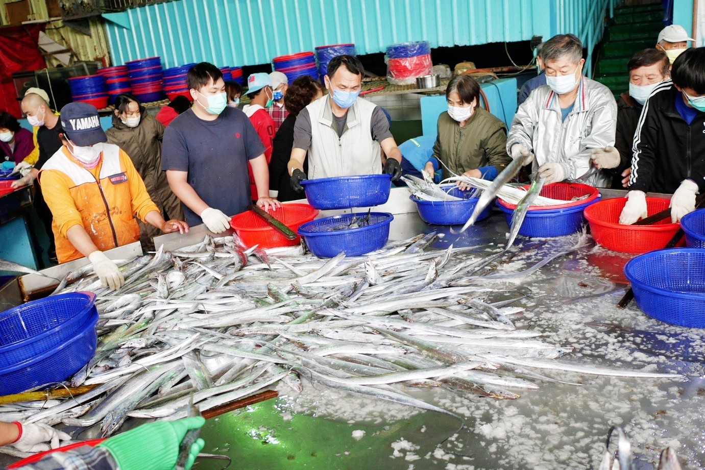 批發,新竹景點,明發定置漁場,買魚,野生魚瀑布,香山景點,魚,魚港