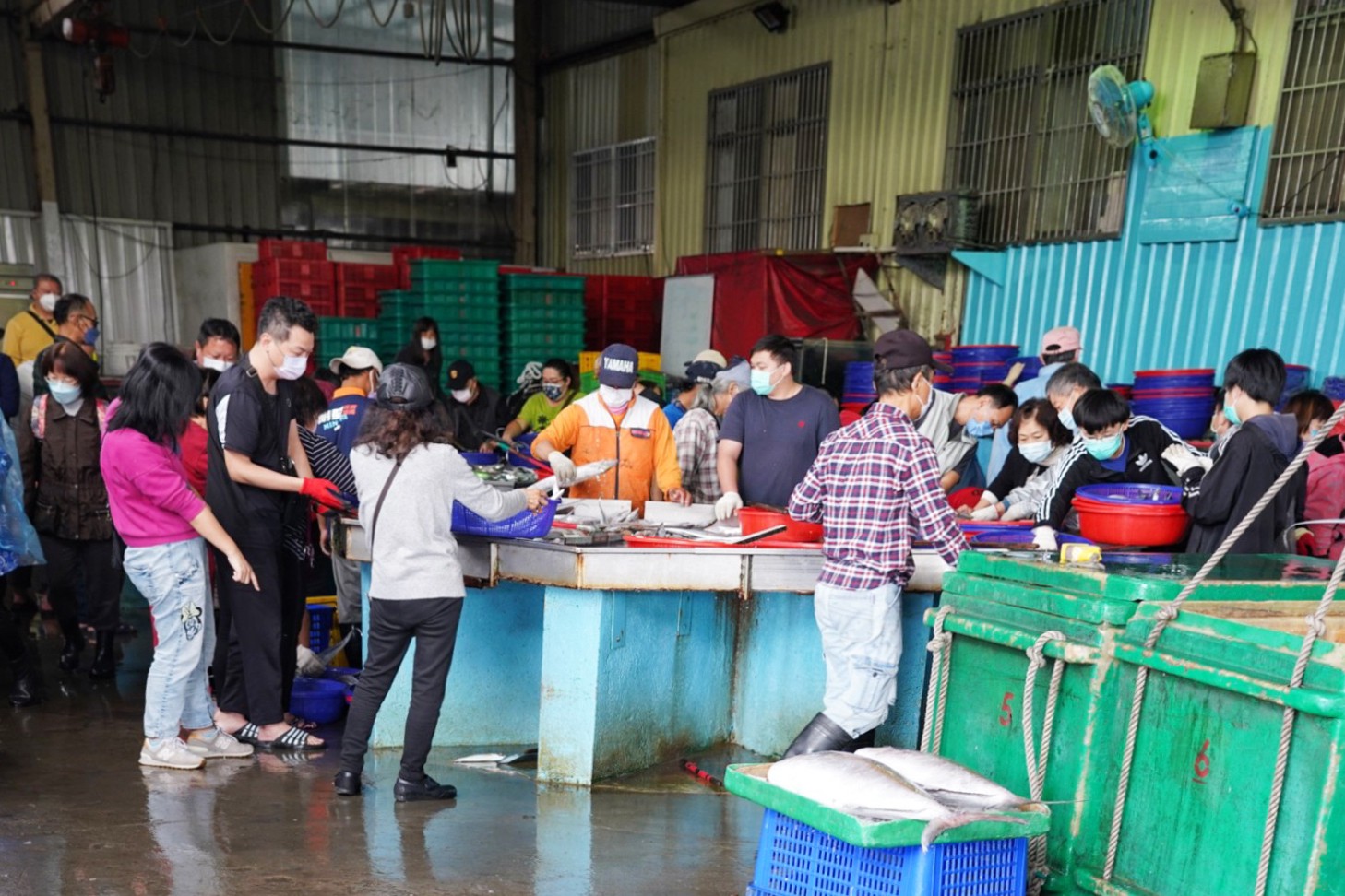 批發,新竹景點,明發定置漁場,買魚,野生魚瀑布,香山景點,魚,魚港