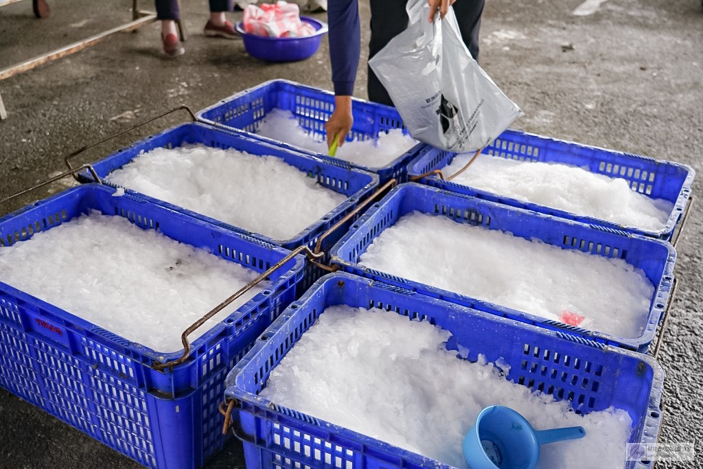 批發,新竹景點,明發定置漁場,買魚,野生魚瀑布,香山景點,魚,魚港