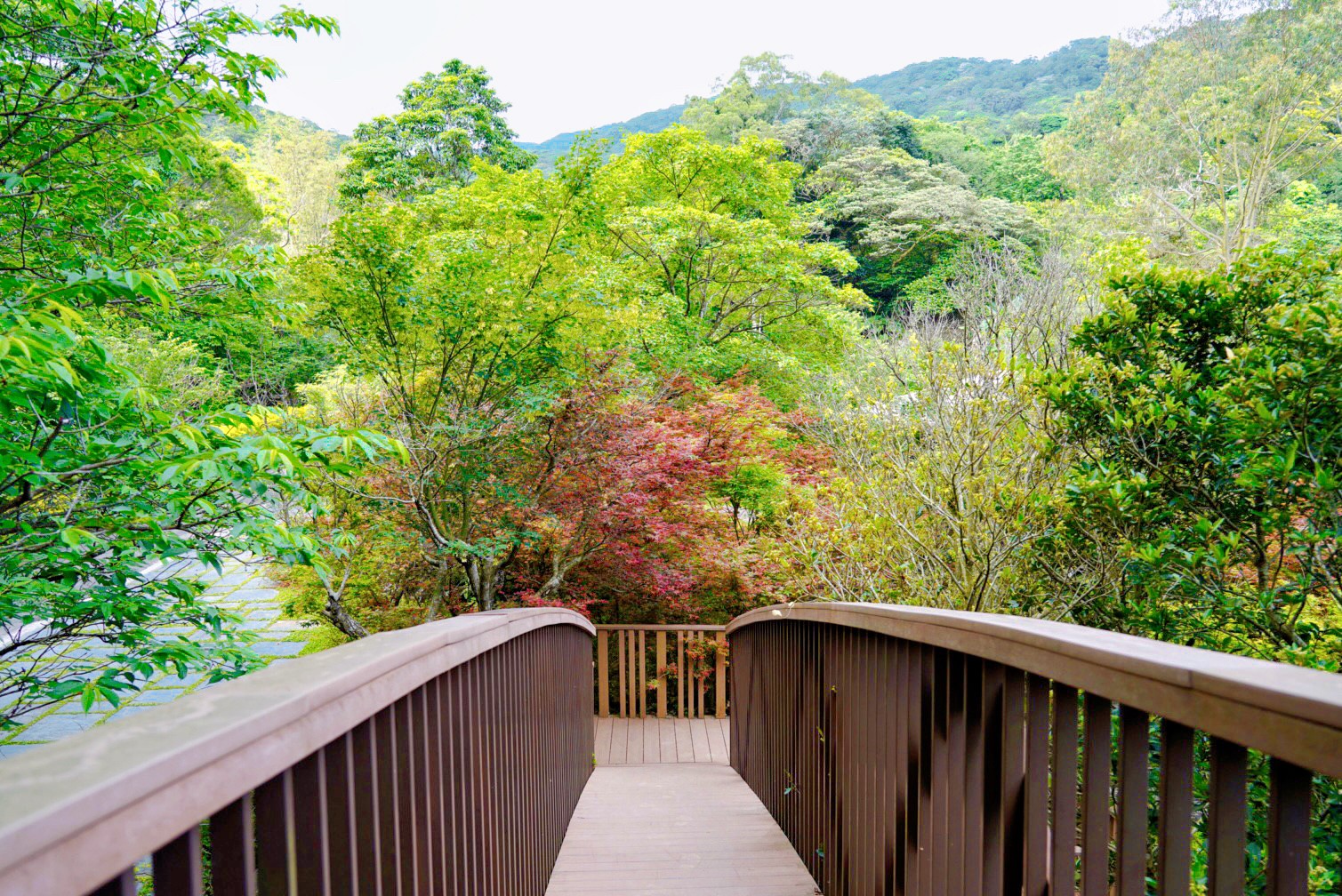 福田園休閒農(nóng)場x楓咖啡