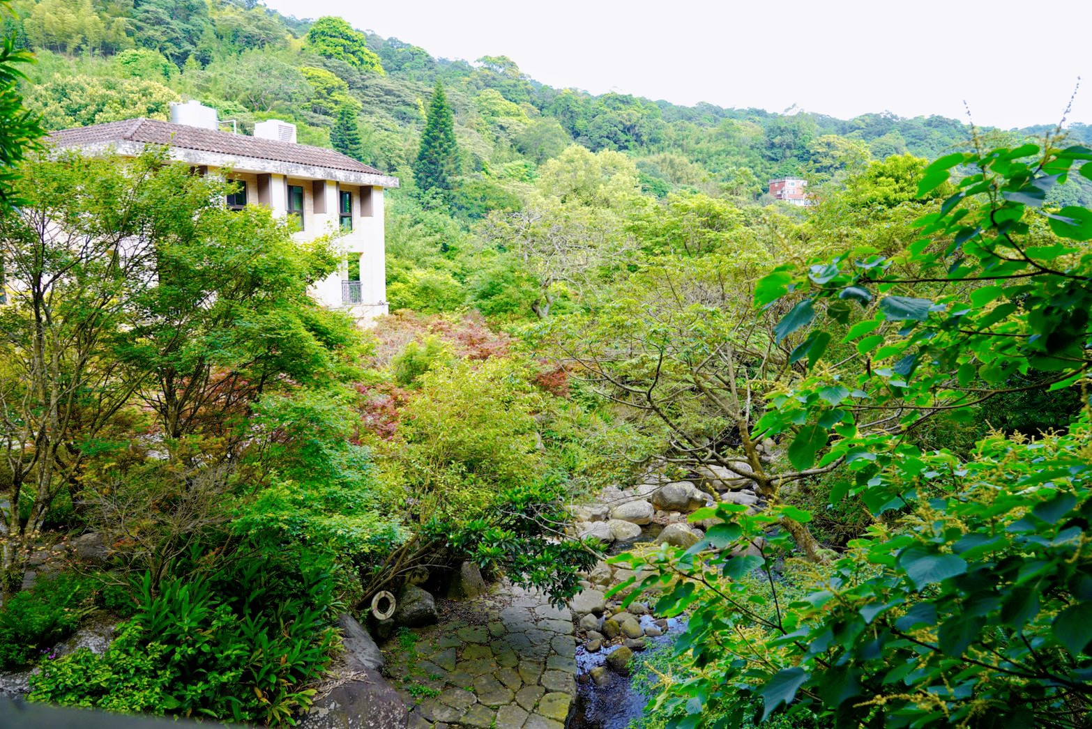 福田園休閒農場x楓咖啡